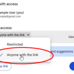 How to Make Sharable Google Drive Link​