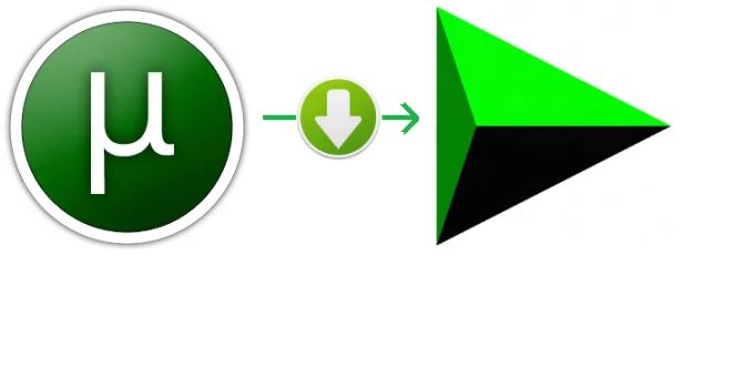 Torrent to Direct Download Link